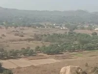  Agricultural Land for Sale in Gungal, Hyderabad