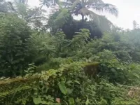 Residential Plot for Sale in Doddangudde, Udupi