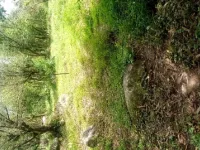  Commercial Land for Sale in Khanyara Road, Dharamsala