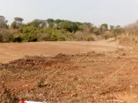  Residential Plot for Sale in Kandwari, Palampur