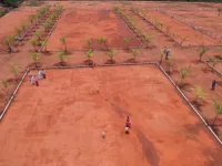 Residential Plot for Sale in Melur, Madurai