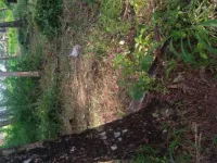  Residential Plot for Sale in Ponnani, Malappuram