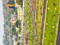  Residential Plot for Sale in Pedakurapadu, Guntur