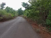 Agricultural Land for Sale in Mhasla, Raigad