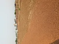  Residential Plot for Sale in Bhilai Charoda, Durg