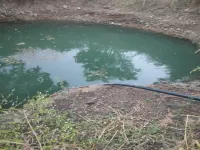  Agricultural Land for Sale in Pangaon, Latur