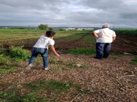  Agricultural Land for Rent in Kolwadi, Pune, 