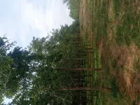  Commercial Land for Sale in Bhogapuram, Visakhapatnam