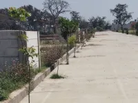  Residential Plot for Sale in Ramnagar Road, Kashipur