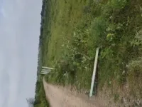  Agricultural Land for Sale in Phulera, Jaipur