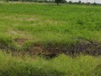  Agricultural Land for Sale in Kalwar Road, Jaipur