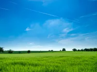  Agricultural Land for Sale in Ajmer Road, Jaipur