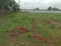  Residential Plot for Sale in Shamshabad, Hyderabad