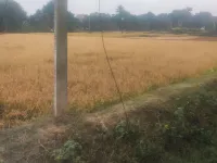 Residential Plot for Sale in Amarpur, Banka