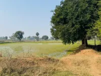  Agricultural Land for Sale in Bhongir, Yadadri Bhuvanagiri