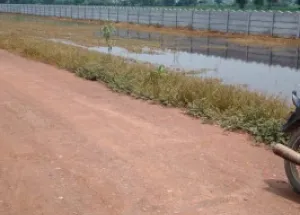 Residential Plot for Sale in Kosi Kalan, Mathura