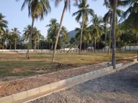  Residential Plot for Sale in Anandapuram, Visakhapatnam