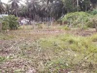  Residential Plot for Sale in Amalapuram, East Godavari