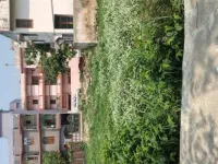  Commercial Land for Sale in Beur, Patna