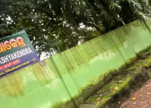 1750 Sq.ft. Residential Plot for Sale in Nayapali, Bhubaneswar