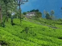 Residential Plot for Sale in Coonoor, Ooty