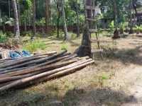  Residential Plot for Sale in Tirur, Malappuram