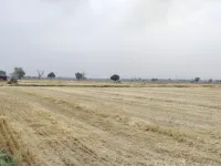 Agricultural Land for Sale in Krishna Nagar, Mathura