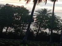  Agricultural Land for Sale in Chamarajapuram, Mysore