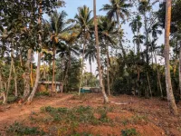  Residential Plot for Sale in Udayamperoor, Ernakulam