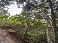  Residential Plot for Sale in Kattakada, Thiruvananthapuram