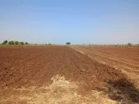  Agricultural Land for Sale in Chhutmalpur, Saharanpur