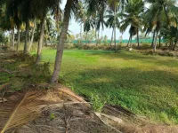  Agricultural Land for Sale in Narsapur, West Godavari