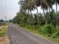 Agricultural Land for Sale in Ravulapalem, East Godavari