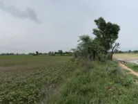  Agricultural Land for Sale in Dudu, Jaipur