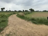 1 RK Farm House for Sale in Sohna Road, Gurgaon