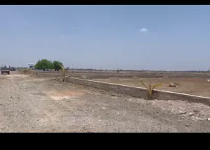  Residential Plot for Sale in Dholera, Ahmedabad