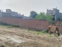  Residential Plot for Sale in Jhusi Kohna, Allahabad