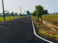 Residential Plot for Sale in Tagarapuvalasa, Visakhapatnam