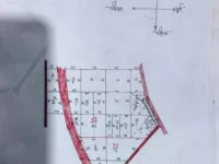  Agricultural Land for Sale in Dighal, Jhajjar