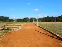  Residential Plot for Sale in Pipili, Puri