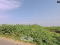  Commercial Land for Rent in Srivaikuntam, Thoothukudi