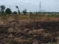 Agricultural Land for Sale in Narasaraopet, Guntur