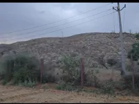  Agricultural Land for Sale in Sapotra, Karauli