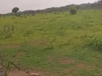 Farm House for Sale in Shankarpally, Rangareddy