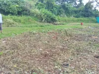  Residential Plot for Sale in Alibag, Raigad