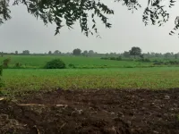 3 BHK Farm House for Sale in Indira Nagar, Ujjain