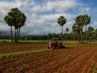  Agricultural Land for Sale in Pollachi, Coimbatore
