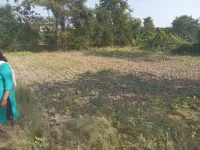  Agricultural Land for Sale in Samroli, Chikhli, Navsari