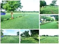  Residential Plot for Sale in Arakonam, Chennai