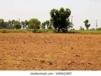  Industrial Land for Sale in Savner, Nagpur